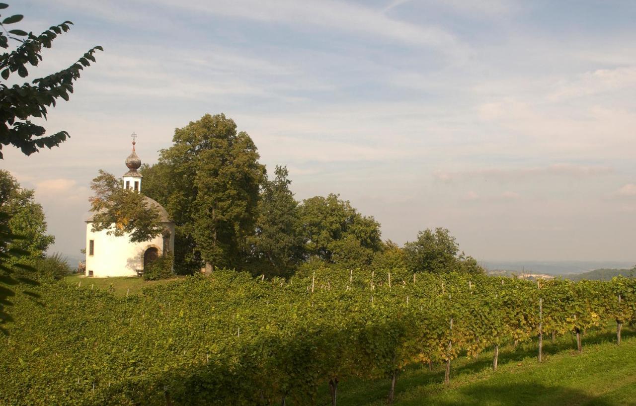 Schloss 캐프펜스타인 외부 사진