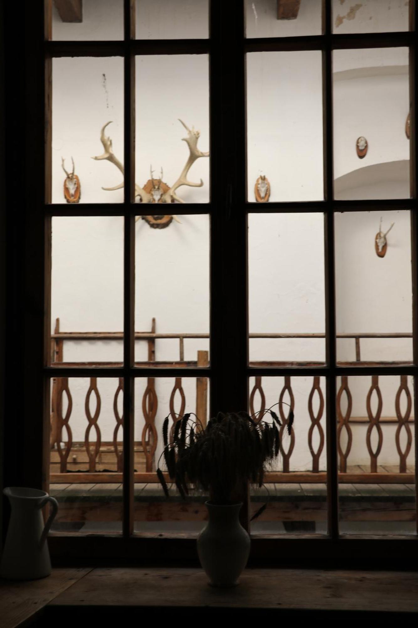 Schloss 캐프펜스타인 외부 사진